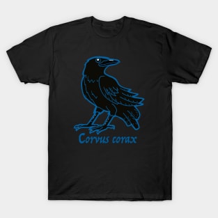 Corvus corax, the Common Raven T-Shirt